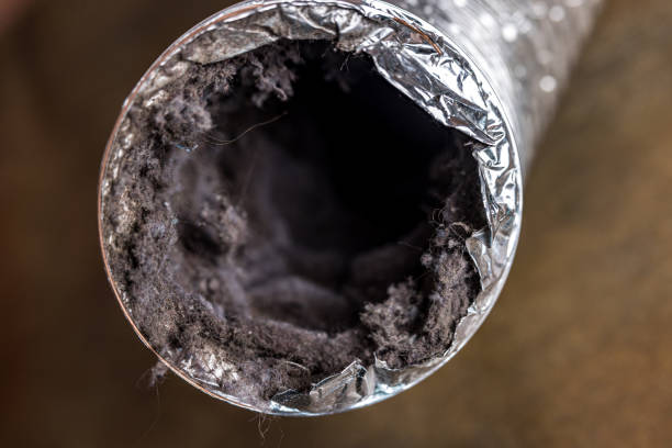 Best Air Duct Cleaning Near Me  in Biloxi, MS